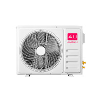 Aurum ARC18-WNTE2